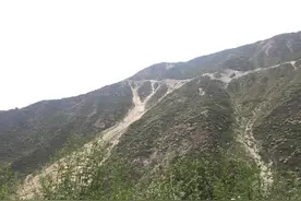 高山探“蜜”·最不要命的探索之路！如何判别假蜂蜜！图片