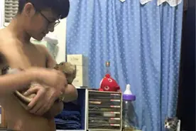 养了一只灰白猫一只橘猫，男友抱起了橘猫，整个卧室瞬间杀气腾腾图片