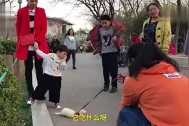 女子遛4000多元雪貂遇尴尬，路人：这是黄鼠狼吧视频封面