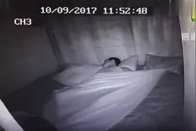装监控只是为了拍猫跑哪去了，结果却拍到了自己梦游！视频封面