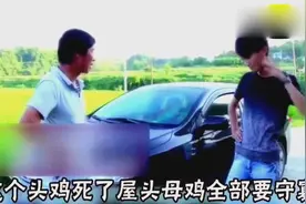 四川爆笑方言：土豪撞死农村土公鸡，居然要赔3000块！视频封面