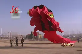 厉害了，上了天的大金鱼！视频封面