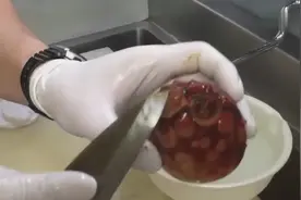 实拍日本料理师清理海菠萝！