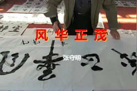 天水市麦积区三阳川书法家张守明书法《风华正茂》视频封面