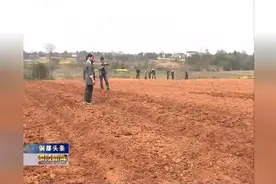 李猛赴枞阳县和义安区调研乡村振兴等工作视频封面