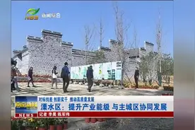 溧水区：提升产业能级 与主城区协同发展视频封面