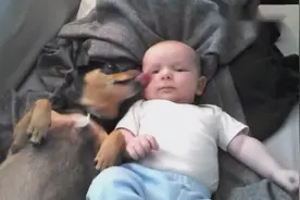 这睡姿有点神同步，真是两个好兄弟视频封面