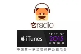 如果你发现自己有一只袜子不见了，可能在它胃里呢！｜萌爪医生图片