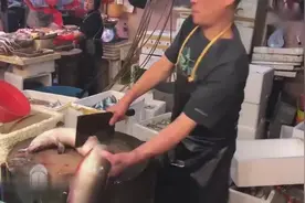 50斤重的大泥鳅长成精了，快来看看长啥样？视频封面