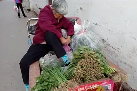 河南平顶山的物价有多低？看看我买的这4种菜视频封面