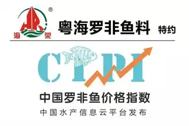塘头价环比基本持平，粤西加工厂报价下调0.15元/斤左右 | 粤海1号特约中国罗非鱼价格指数图片