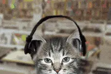 真酷，听这些钢琴曲竟然可以提高记忆力！图片