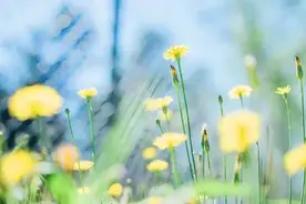 夜读 | 即使我已知人生艰难，也希望对你永远温柔图片