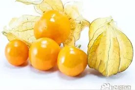 洋姑娘怎么吃图片