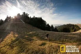 福利！路跑、越野跑双料大师的独家秘笈图片