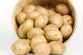吃土豆要去皮吗 土豆能放冰箱吗图片