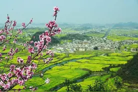 实施乡村振兴战略，科技怎么干？图片