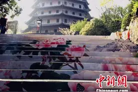 须是牡丹花盛发 杭城百姓六和塔下赏“国色”图片