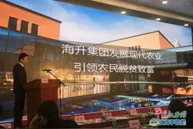 国内最大果汁原浆企业海升集团联手王小贱登陆江西 意在脐橙图片