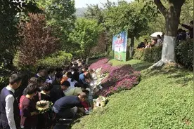 回归自然，以花为墓 成都65名逝者集体花葬图片