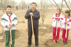 习近平：像对待生命一样对待生态环境