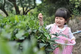 广州清明踏青去哪玩？收好这份出游全攻略！图片