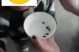 夜读丨家长给幼童喂食“活蝌蚪”：可强身健体丨女硕士电视求职成功底薪一万三 报到时变为四千图片