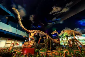 穿越恐龙世界 探秘远古文化图片