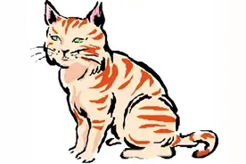 偷只名喵 获刑半年图片