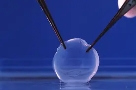 问答｜视力突然下降，为什么要移植角膜？图片