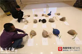 “飞摩党”走私14只穿山甲被截图片
