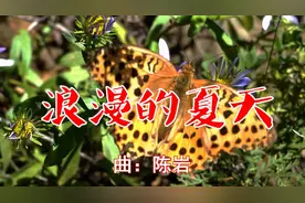 红蔷薇一曲情歌《浪漫的夏天》太好听了，谁听谁点赞！百听不厌