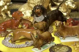 德国犬迷打造首家腊肠犬博物馆视频封面