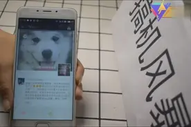 微信朋友圈朋友的评论也是可以免打扰的，你还不知道？