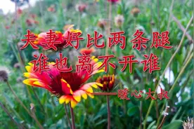 夫妻好比两条腿，谁也离不开谁！讲的太对了！