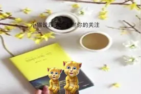 小猫说段子：‘开什么车就是什么样的人，说的太准了！