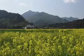 “一生痴绝处，无梦到徽州”，梦乡祖源。视频封面