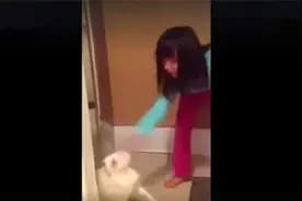 熊孩子不停的欺负猫咪，猫大爷忍无可忍，做出了反击图片