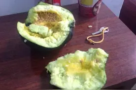 噎死狗面瓜，农村一个逐渐消失的水果图片