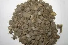 兔子屎这东西在农村还有这么多用处，你知道吗？图片