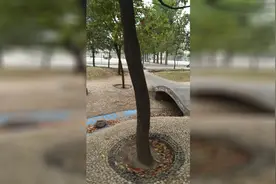 早上十点，吃午饭还是吃早饭？