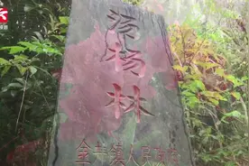 清明祭英魂：9年前扑救山火，为疏散群众他倒在火场视频封面