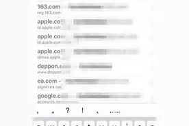 怎么查看iPhone浏览器保存的密码？Safari浏览器密码搜索图片