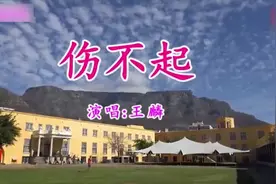 一首《伤不起》超好听，火极一时