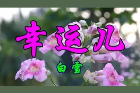 经典金曲，白雪一首《幸运儿》好听醉人视频封面