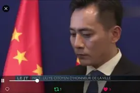 厉害了，我的刘烨！刘烨获法国尼斯“荣誉市民”视频封面