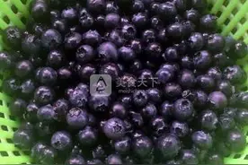 自制蓝莓果酱图片