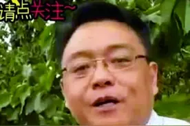 陌陌直播卖樱桃图片