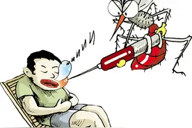 为什么蚊子要吸血？图片