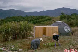 年轻夫妻在乡村建“自给自足实验室” 独立生活5年图片